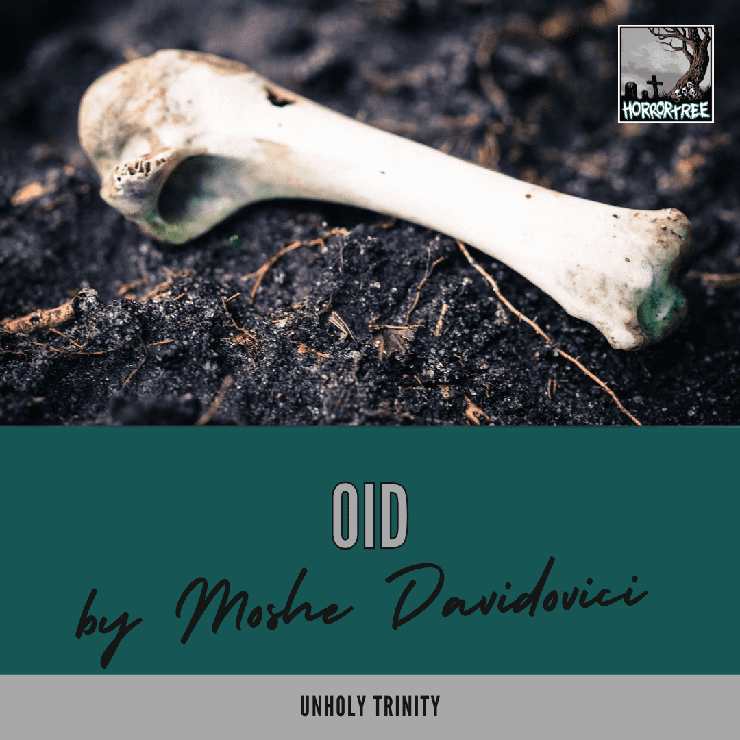 Oid by Moshe Chaim Davidovici